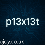 P13x13t